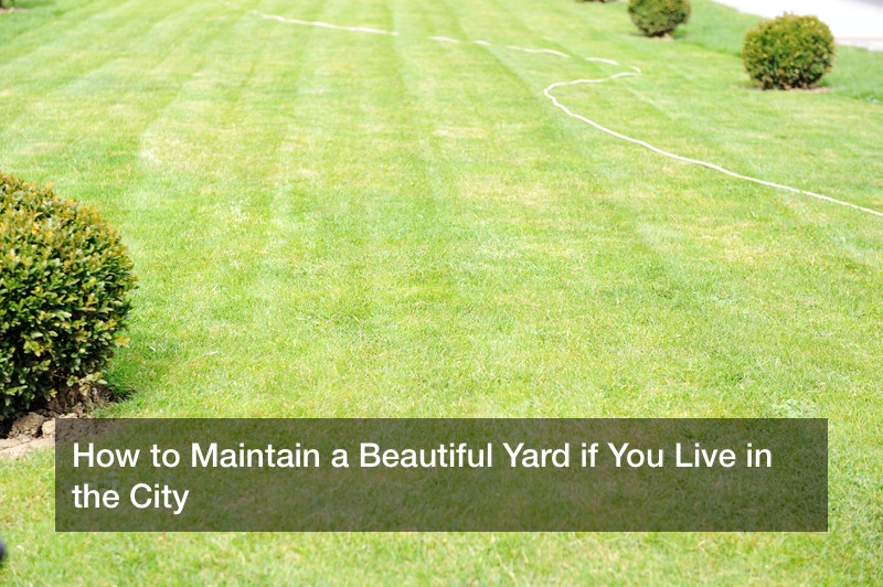 How to Maintain a Beautiful Yard if You Live in the City