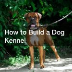 How to Build a Dog Kennel
