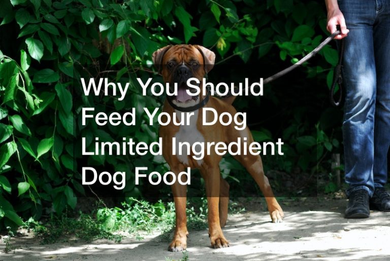 Why You Should Feed Your Dog Limited Ingredient Dog Food Cityers