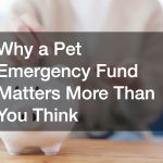 Why a Pet Emergency Fund Matters More Than You Think